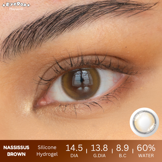 Nassissus Brown