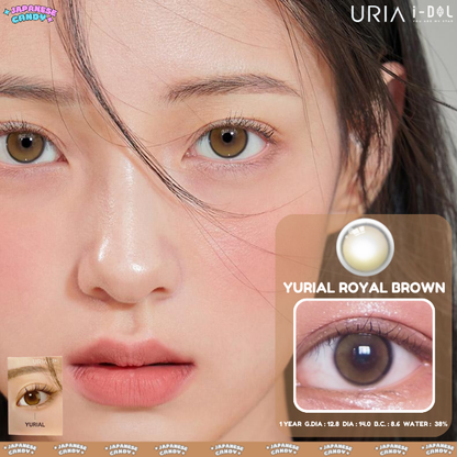 1 Year YURIAL Royal Brown