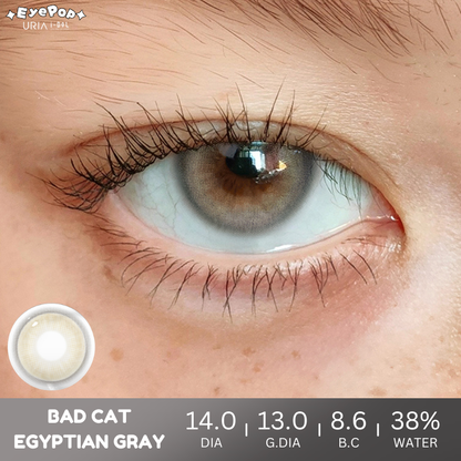 [PRE-ORDER] BADCAT Egyptian Gray