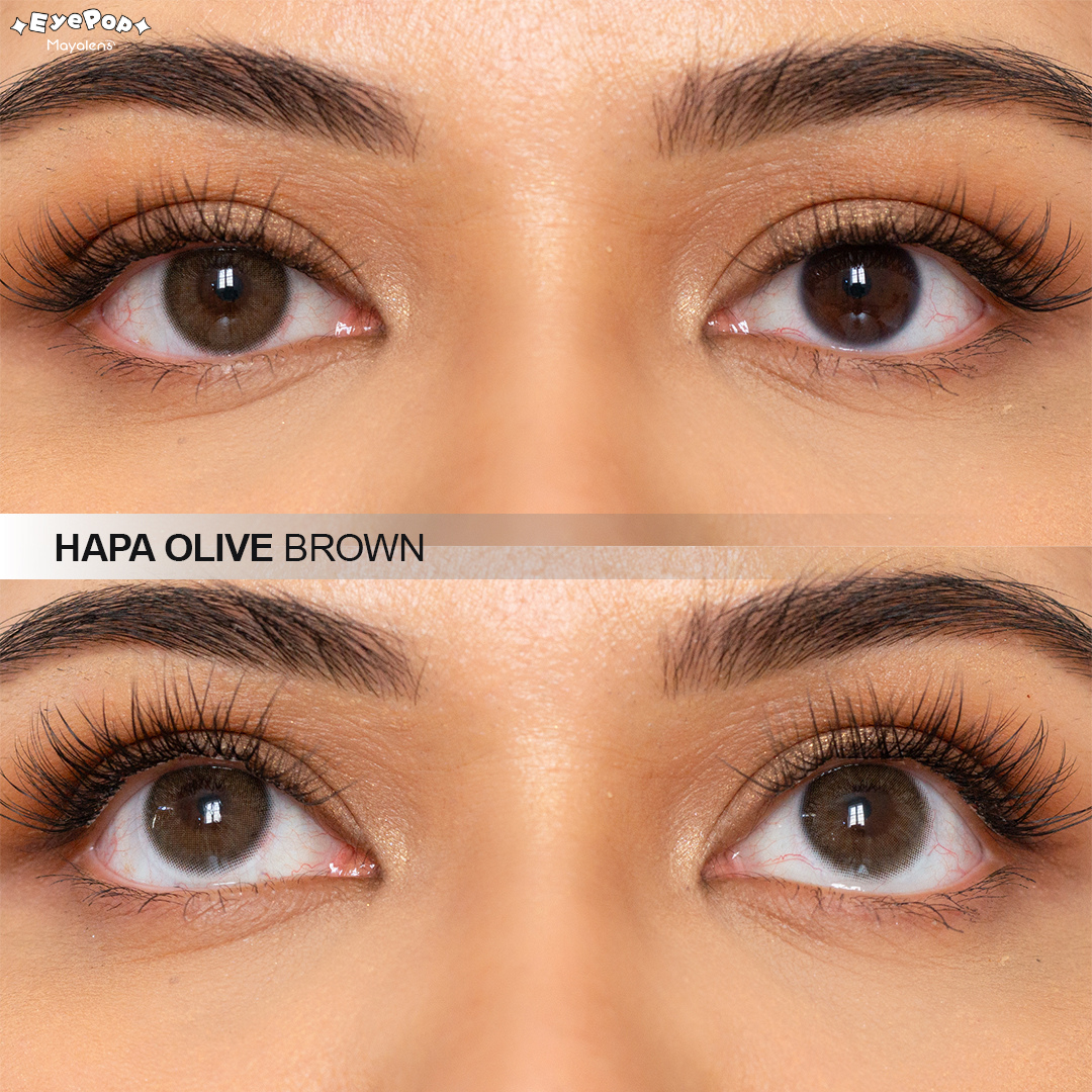 Hapa Olive Brown