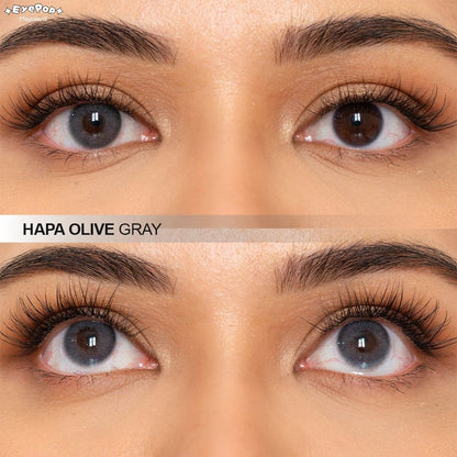Hapa Olive Gray