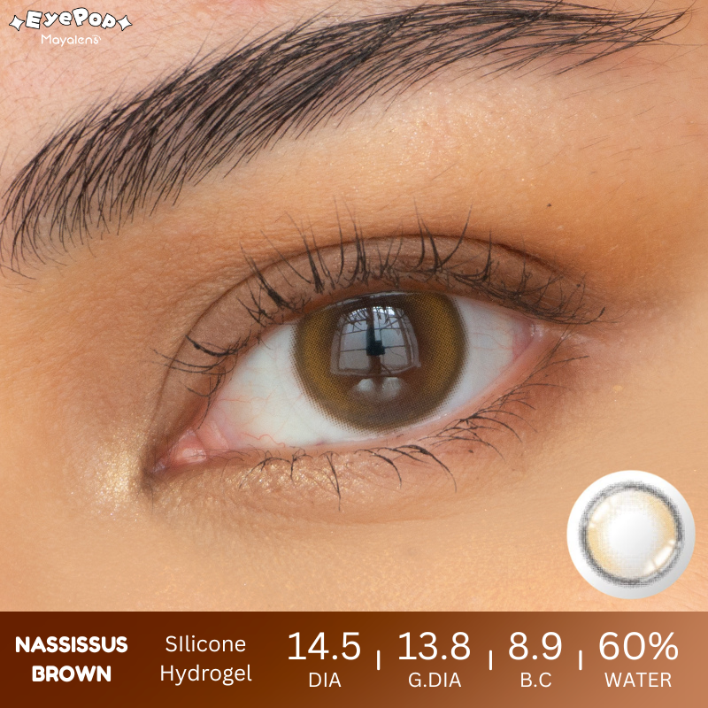 Nassissus Brown
