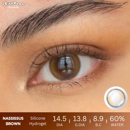 Nassissus Brown