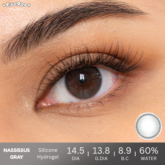 Nassissus Gray
