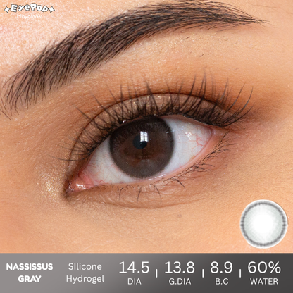 Nassissus Gray