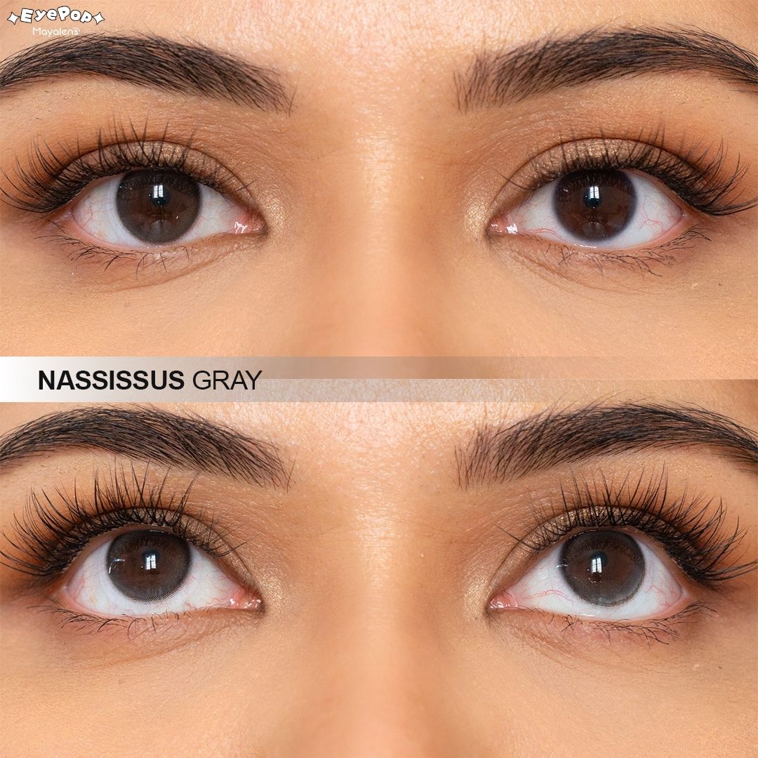 Nassissus Gray