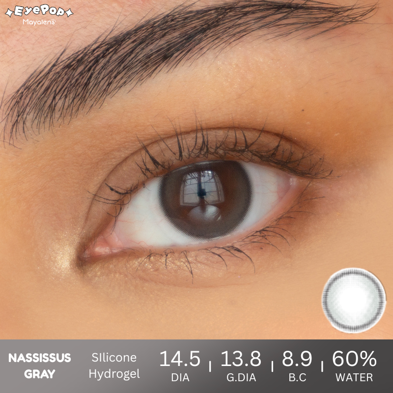 Nassissus Gray