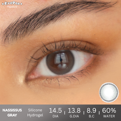 Nassissus Gray