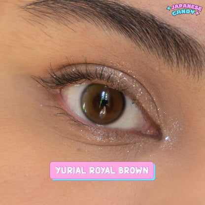 1 Year YURIAL Royal Brown