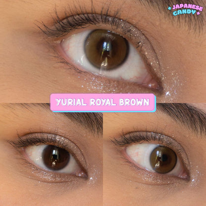 1 Year YURIAL Royal Brown