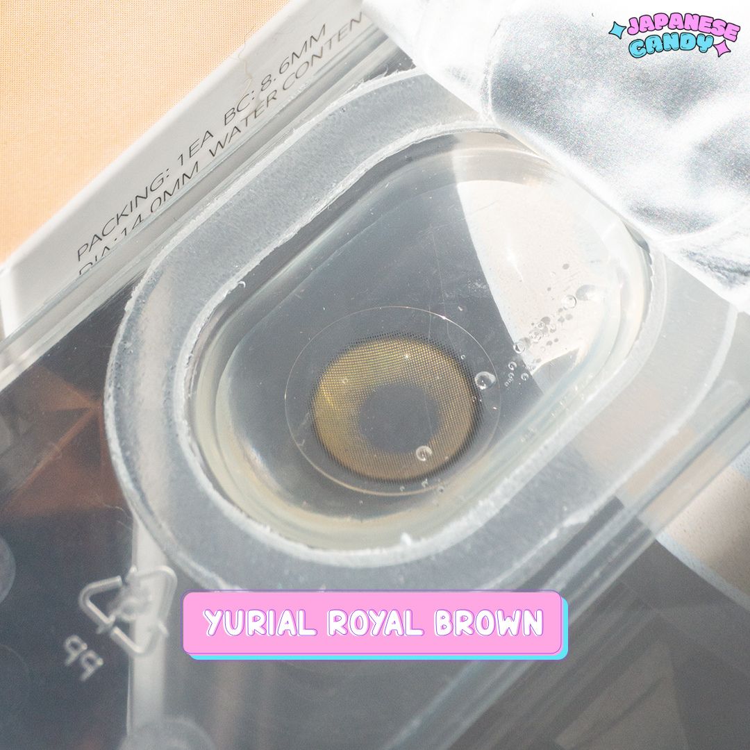 1 Year YURIAL Royal Brown