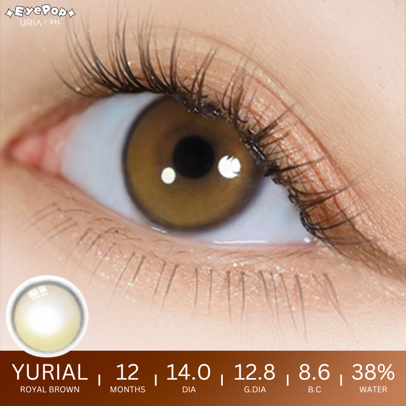 1 Year YURIAL Royal Brown