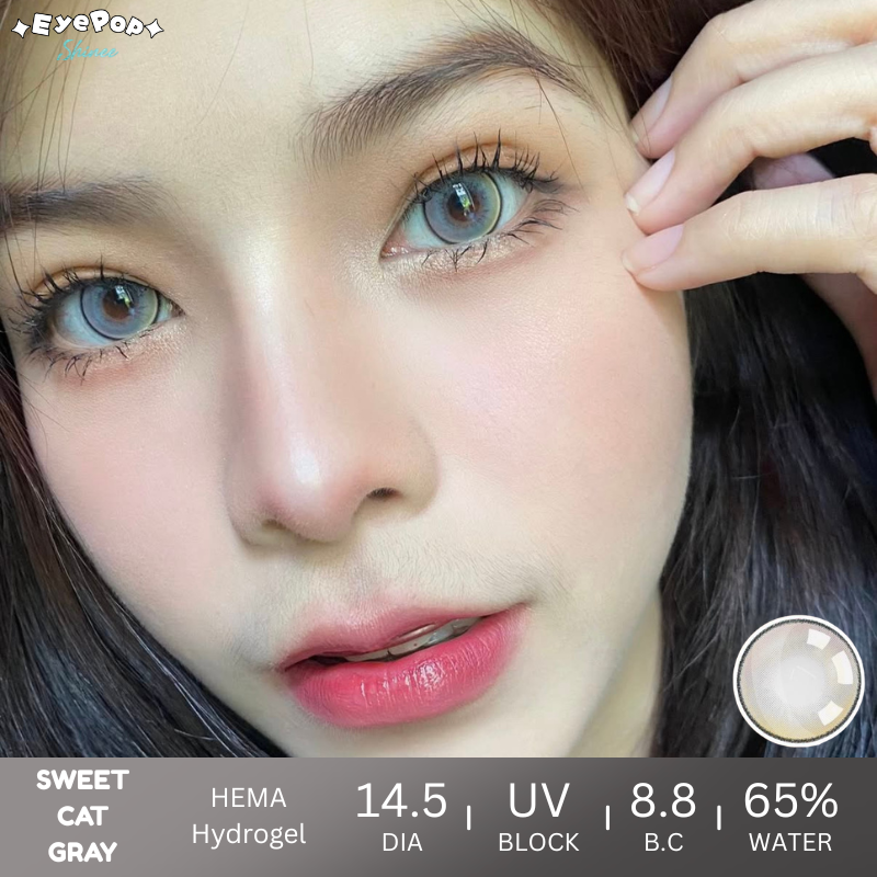 Sweet Cat Gray