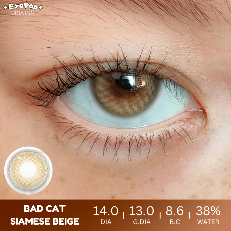 [PRE-ORDER] BADCAT Siamese Beige