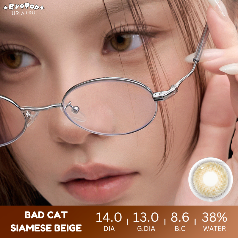 [PRE-ORDER] BADCAT Siamese Beige